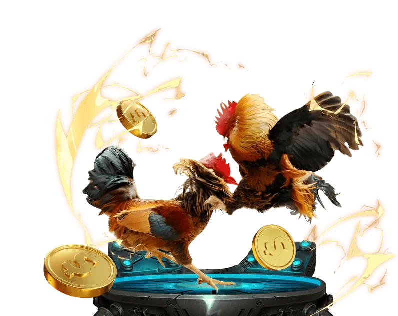 Hình ảnh đại diện cho thỏa thuận người dùng và điều khoản công bằng của okking9